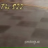 The S-22