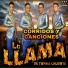 La Llama De Tierra Caliente