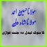 Maulana Husain Ahmad, Maulana Shah wali