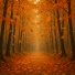 Luminita