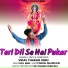 Vikas Thakur Jonu