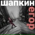 Егор Шапкин