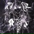 Flwsh, angst, FourX, dxstroyed
