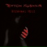 Temych Kushnir