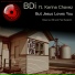 BDi feat. Karina Chavez