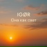 IGØR