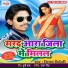 Bigan Videshi