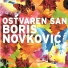 Boris Novković