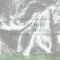 Waterfall Sounds