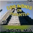 Los Indios de Papantla