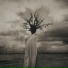 THORNAPPLE