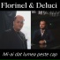 Florinel feat. Deluci