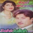 Zahid Ullah, Aqal Meena