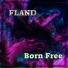 Fland