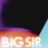 Big Sir (Lisa Papineau)