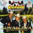 Los Gallitos De Chihuahua