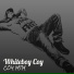 COY MTM