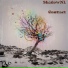 ShadowNL