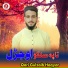 Qari Gulzaib Haqyar