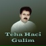 Teha Hacî