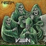 Vein