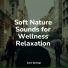 Natureza, Mother Earth Sounds, Meditação Yoga