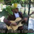El tigrillo