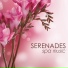Spa Music in Spa