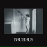 Bauhaus (1980)