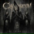 Chaoseum