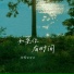 格雷西西西