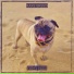 Yung Redz feat. Sparkize