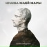 Евгений Курчич