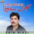 Saim Niazi
