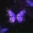 Vennix, prod. DGZN