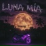 ARXF