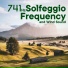 The Healing Project, Schola Camerata