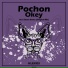 Pochon