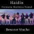 Haidin