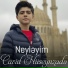 Cavid Hüseynzadə