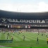 Galoucura União dos Pulgas