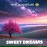 Denis Audiodream5