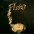 FLOOD