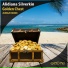Alidiana Silverkin