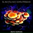 BLINKY BLINKY COMPUTERBAND