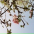 Nowun, deja blue