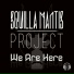 Squilla Mantis Project