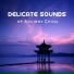 Tao Te Ching Music Zone