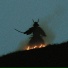 Feu Feu