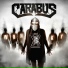 Carabus